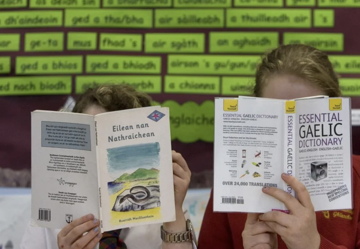 The Dictionary Project Gaelic Dictionary Project gets £500K to Preserve ...